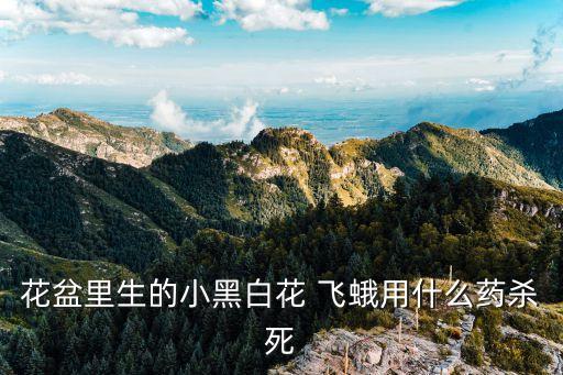 消滅飛蛾妖蛾用什么農(nóng)藥,菜地里的飛蛾用什么消滅