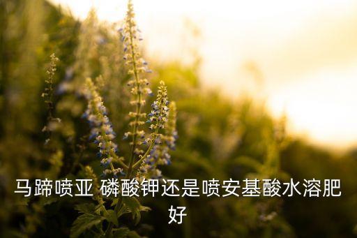 亞磷酸甲是什么農(nóng)藥,甲氯菊酯是什么農(nóng)藥