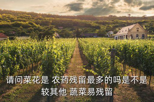 蔬菜為什么會農藥超標,賣蔬菜被檢測出農藥超標要被罰款