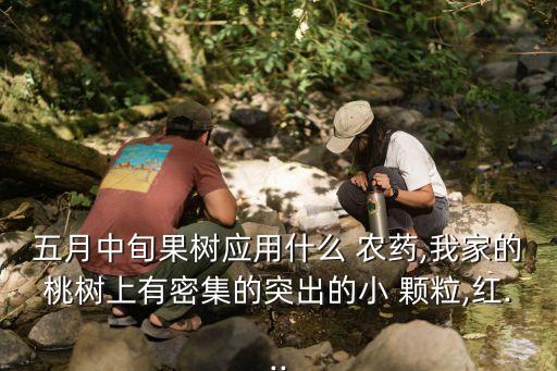 農藥紅色顆粒是什么藥,種子外面紅色的是什么農藥