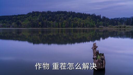 作物 重茬怎么解決