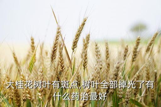 枯斑病用什么農(nóng)藥最好,穗枯病用什么農(nóng)藥防治呢