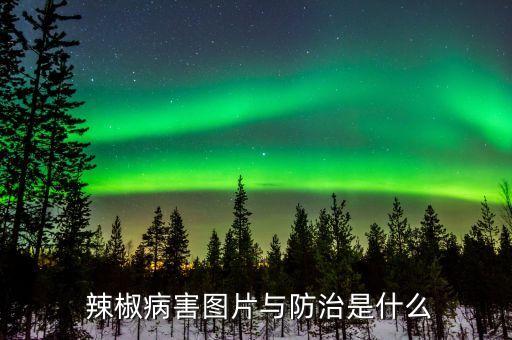 辣椒病用什么農藥,辣椒得了小葉病不用農藥