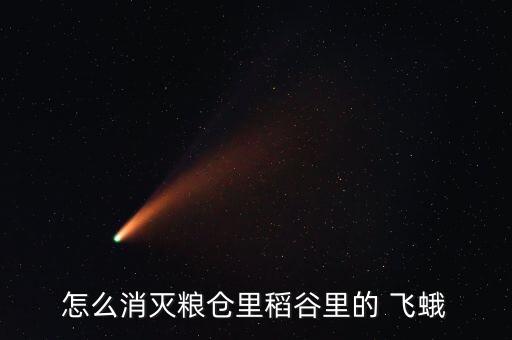 打死飛蛾蟲用什么農(nóng)藥,小白飛蛾用什么農(nóng)藥