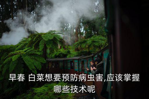 白菜什么時候噴農藥最多,白菜噴農藥在一天中什么時候