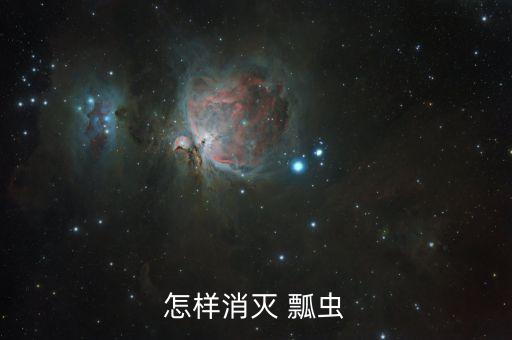 瓢蟲害怕什么農藥,治瓢蟲用什么農藥