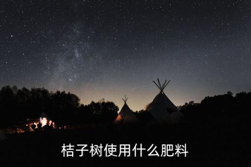 桔子樹使用什么肥料