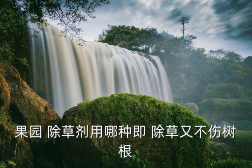 種旱稻用什么除草農藥,旱稻地苗后除草哪種農藥好