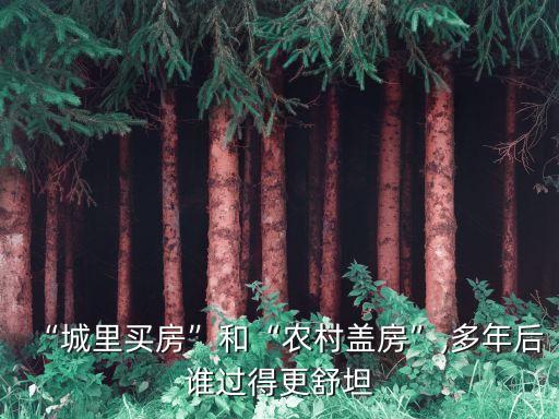“城里買房”和“農(nóng)村蓋房”,多年后誰過得更舒坦