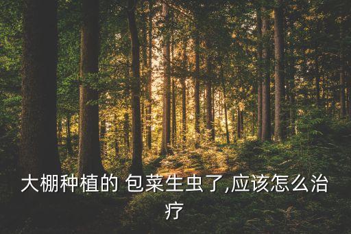包菜用什么農(nóng)藥防,包菜蟲(chóng)用什么農(nóng)藥