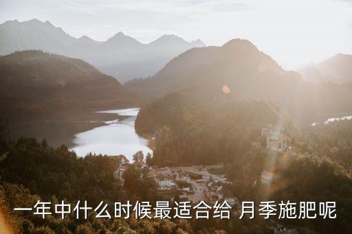 一年中什么時候最適合給 月季施肥呢