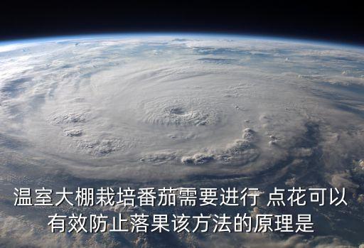 西紅柿用什么農藥點花,點西紅柿花的農藥有激素嗎