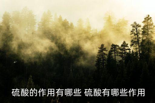 為什么硫酸可以做農藥化肥