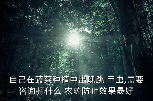 自己在蔬菜種植中出現跳 甲蟲,需要咨詢打什么 農藥防止效果最好