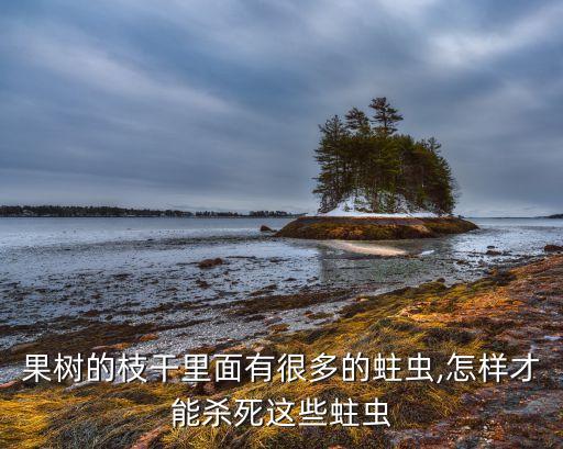 荔枝的樹干長什么樣,荔枝樹干生蟲用什么農藥