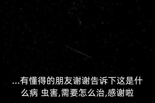 ...有懂得的朋友謝謝告訴下這是什么病 蟲害,需要怎么治,感謝啦