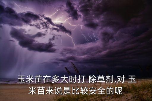 玉米為什么要打農藥除草,花期為什么不能打農藥