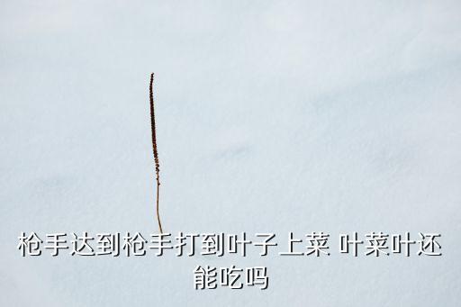 槍手達到槍手打到葉子上菜 葉菜葉還能吃嗎