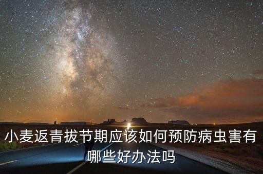 小麥返青拔節期應該如何預防病蟲害有哪些好辦法嗎