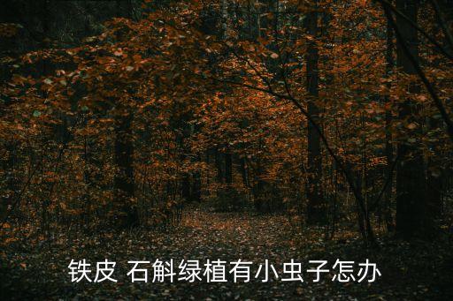 石斛最怕什么農藥,根腐病最怕什么農藥