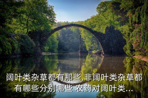 闊葉類雜草都有那些,非闊葉類雜草都有哪些分別哪些 農(nóng)藥對闊葉類...
