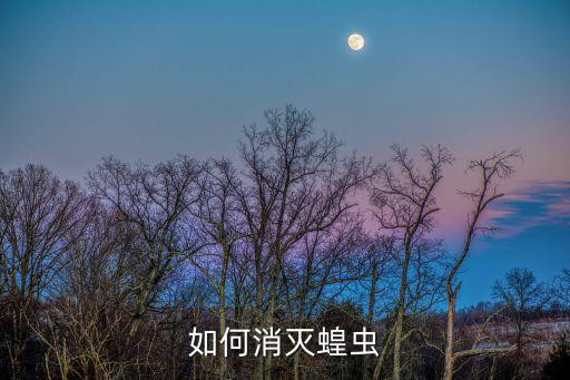 黃蟲用什么農藥最好,殺死青蟲最好最快的農藥