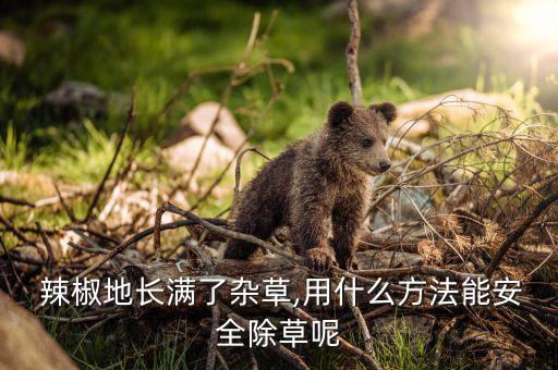 辣椒地長滿了雜草,用什么方法能安全除草呢