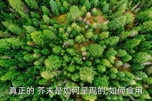 芥末為什么像農藥一樣呀