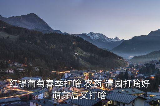 紅提葡萄春季打啥 農藥 清園打啥好萌芽后又打啥