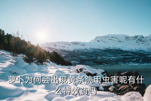 蘿卜為何會(huì)出現(xiàn)黃條跳甲蟲害呢有什么特效藥嗎