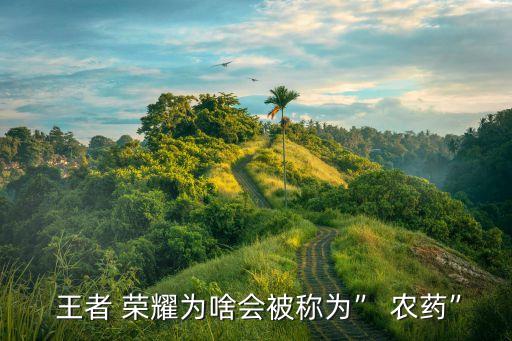 王者 榮耀為啥會(huì)被稱為” 農(nóng)藥”