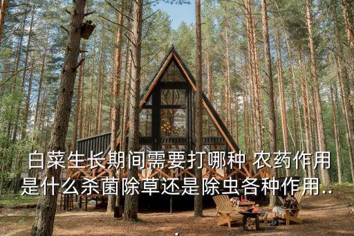 大棚白菜什么時候打農藥,白菜噴農藥在一天中什么時候