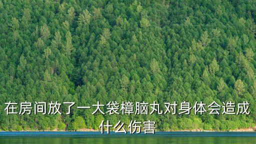 在房間放了一大袋樟腦丸對(duì)身體會(huì)造成什么傷害