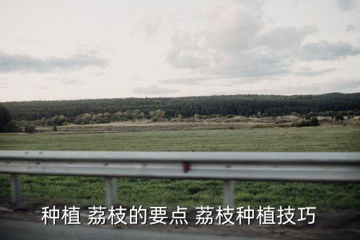 荔枝蒂蛀蟲噴什么農藥好