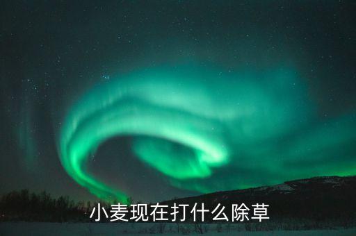 小麥噴農藥用什么好使呢,什么農藥能把小麥打死