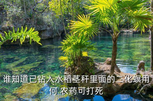 農藥福戈什么成分,福戈農藥