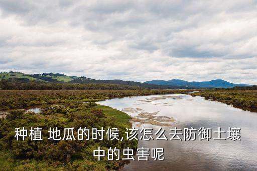 地瓜澆什么水最好用農藥,地瓜什么溫度保存最好