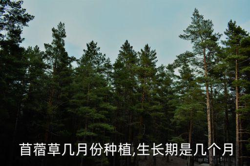 苜蓿草幾月份種植,生長期是幾個月