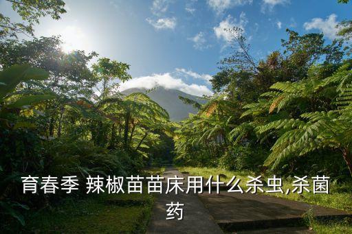 辣椒定植之后打什么農(nóng)藥