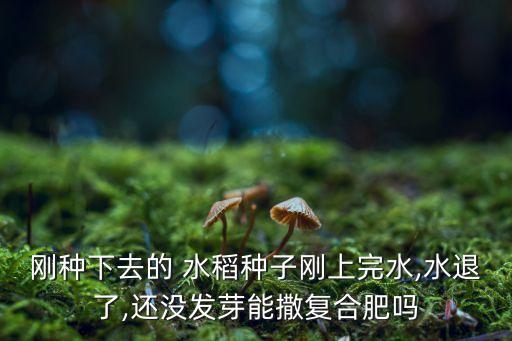 什么是水稻返青肥料農藥,水稻用什么返青快