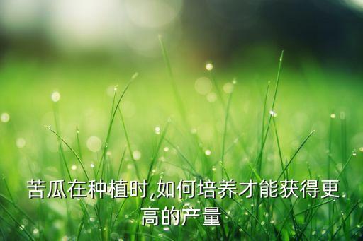 苦瓜在種植時(shí),如何培養(yǎng)才能獲得更高的產(chǎn)量