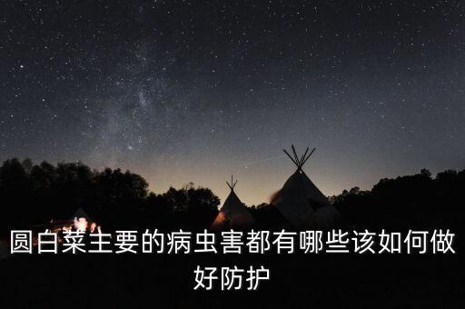 圓白菜主要的病蟲(chóng)害都有哪些該如何做好防護(hù)