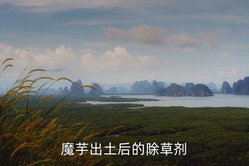 芋頭打什么農藥好吃些,芋頭和什么煮好吃