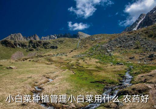 煉苗期用什么農藥,西紅柿苗期用什么農藥