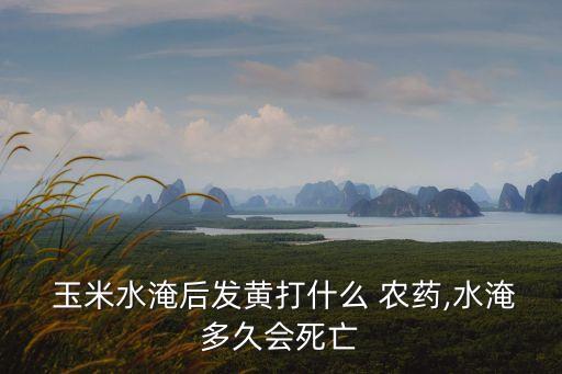 用什么農(nóng)藥防治玉米腐爛,玉米防治蚜蟲的長效農(nóng)藥