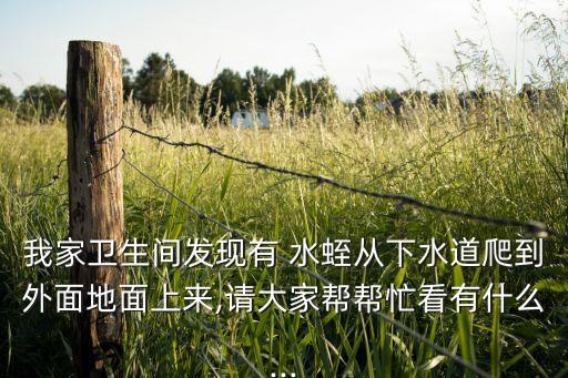 我家衛生間發現有 水蛭從下水道爬到外面地面上來,請大家幫幫忙看有什么...