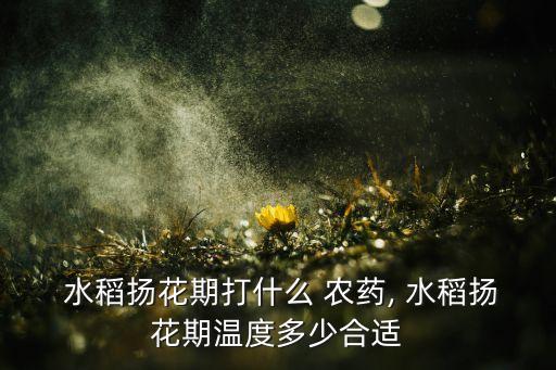 水稻應該用什么農藥,水稻農藥什么時間打效果最好