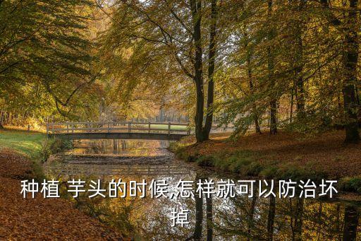 芋頭花用什么農(nóng)藥殺菌殺蟲