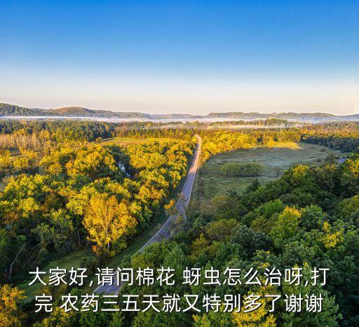 棉蚜蟲用什么農藥治,花有蚜蟲怎么治沒有農藥