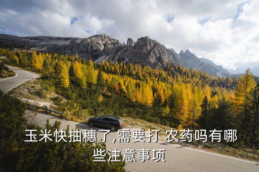  玉米快抽穗了,需要打 農(nóng)藥嗎有哪些注意事項(xiàng)